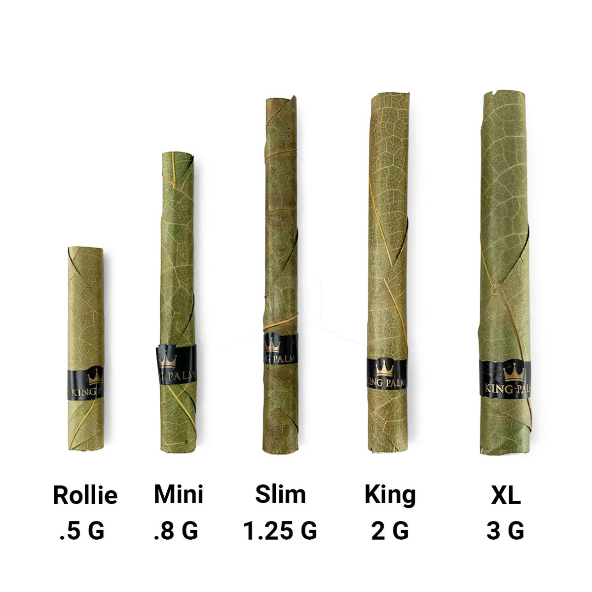 KING PALM Real Leaf Rolls