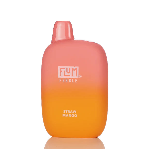 FLUM Pebble Rechargeable Disposable [6000]